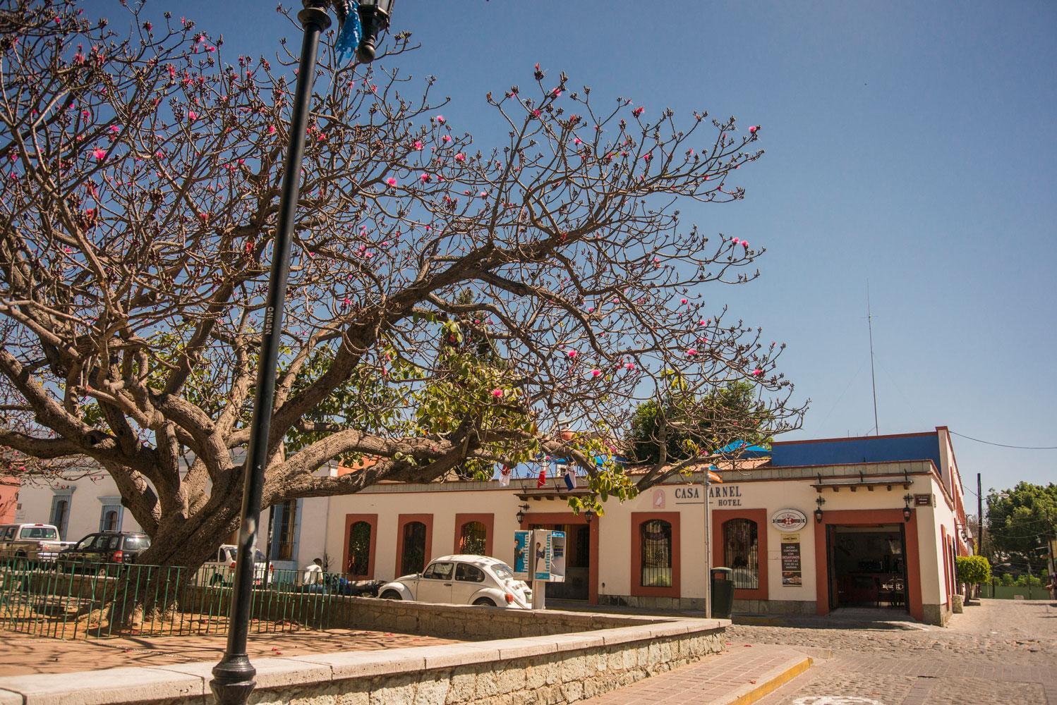 Casa Arnel Hotel Oaxaca